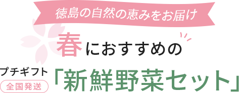 徳島の自然の恵みをお届け　春におすすめのプチギフト「新鮮野菜セット」全国発送