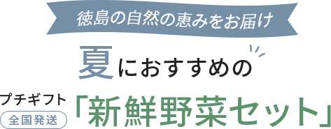 徳島の自然の恵みをお届け　春におすすめのプチギフト「新鮮野菜セット」全国発送