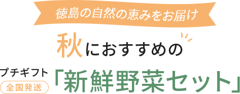 徳島の自然の恵みをお届け　秋におすすめのプチギフト「新鮮野菜セット」全国発送