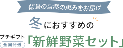 徳島の自然の恵みをお届け　冬におすすめのプチギフト「新鮮野菜セット」全国発送