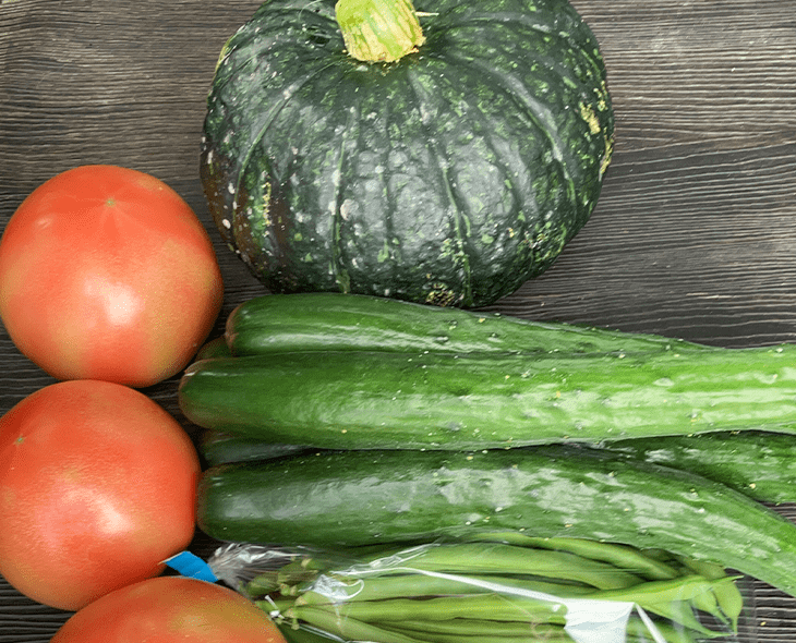 季節の野菜 新鮮野菜セット